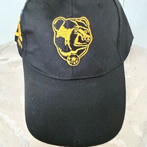 Providence Bruins Black Cap with Gold Bear Logo